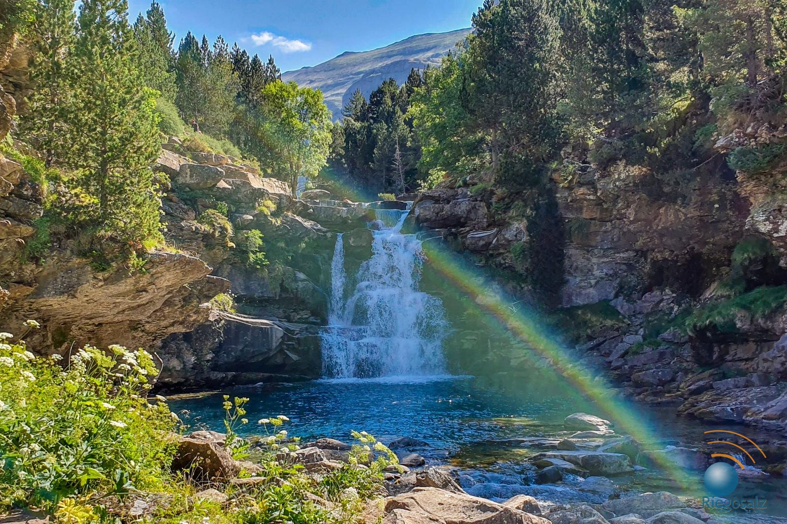 RIEGOSALZ Telecontrol, Automatización y Telemetría de Compuertas en