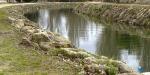 Canal del Duero